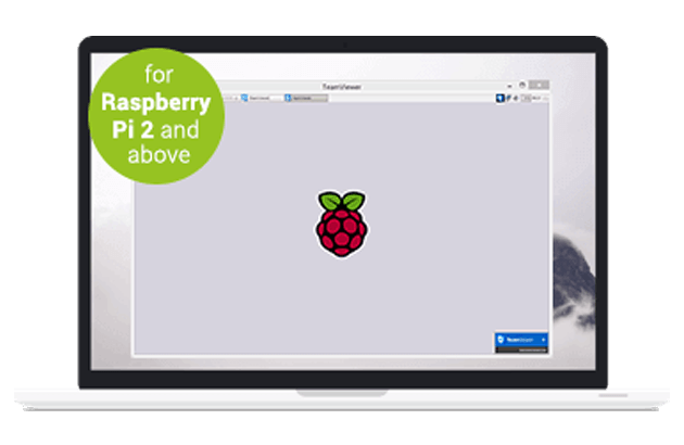 raspberry pi teamviewer persistant id